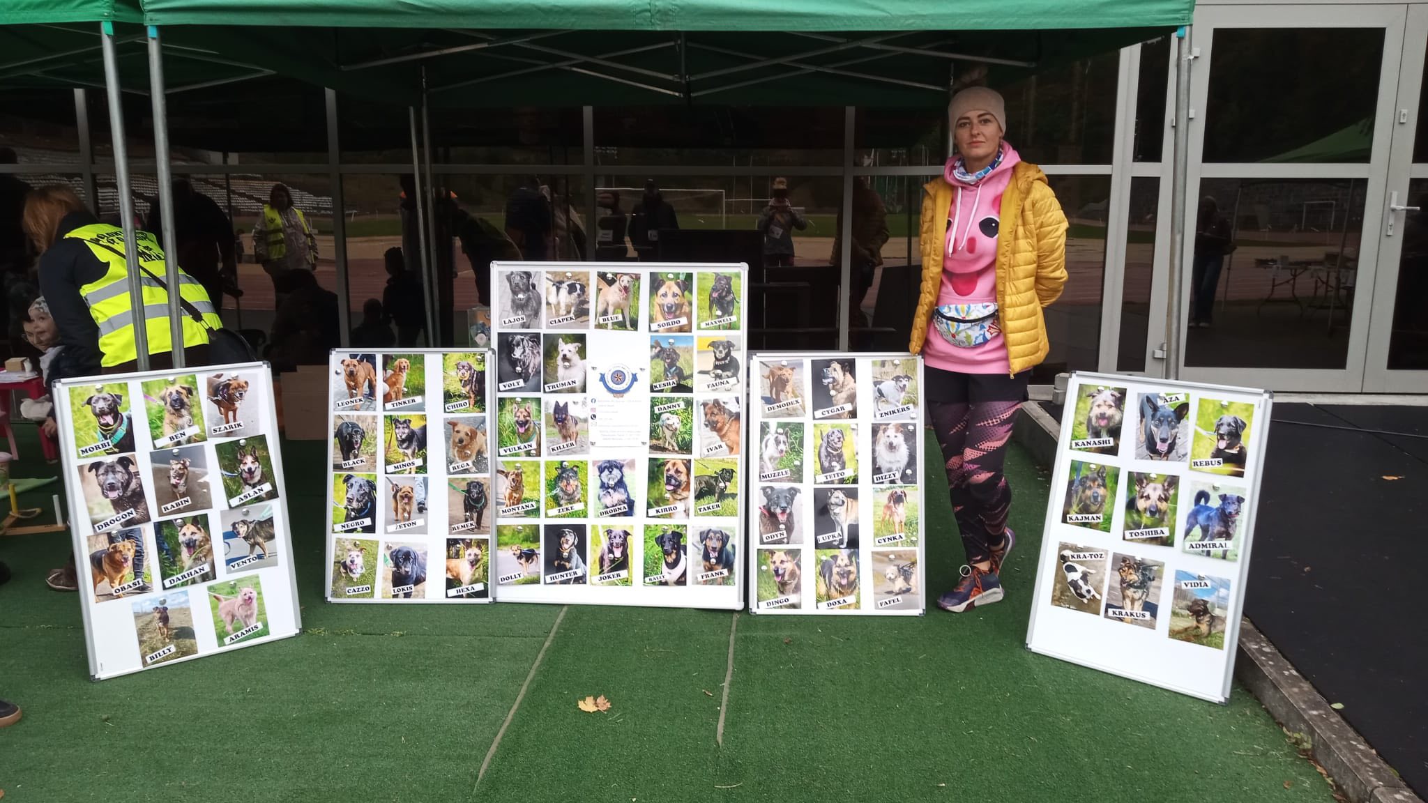 XI Bieg Charytatywny na Rzecz Zwierząt