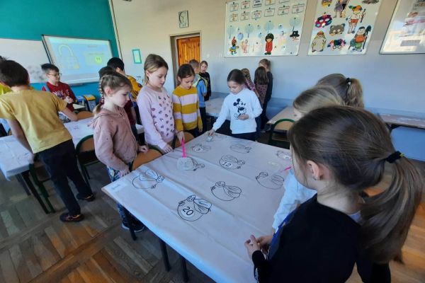 Gra w muchę matematyczną