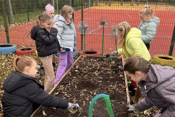 Kolorowy ogródek – natura i sztuka w jednym