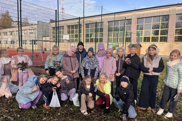 Kolorowy ogródek – natura i sztuka w jednym