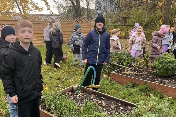 Kolorowy ogródek – natura i sztuka w jednym