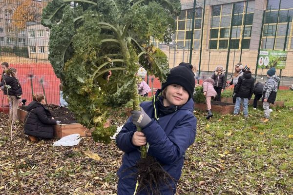 Kolorowy ogródek – natura i sztuka w jednym