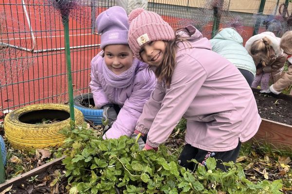 Kolorowy ogródek – natura i sztuka w jednym