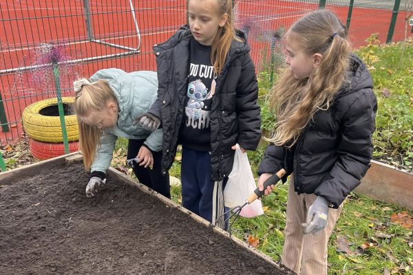 Kolorowy ogródek – natura i sztuka w jednym