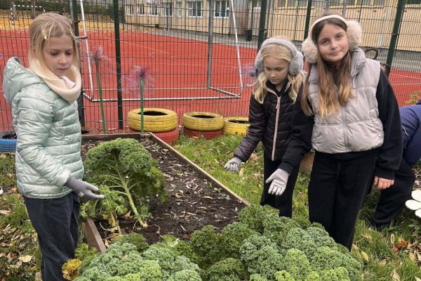 Kolorowy ogródek – natura i sztuka w jednym