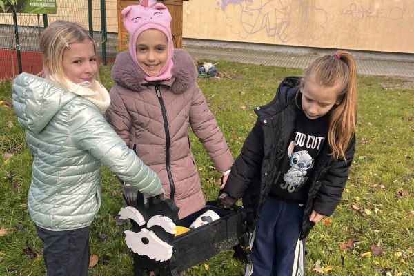 Kolorowy ogródek – natura i sztuka w jednym