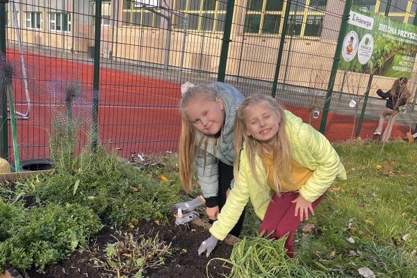 Kolorowy ogródek – natura i sztuka w jednym