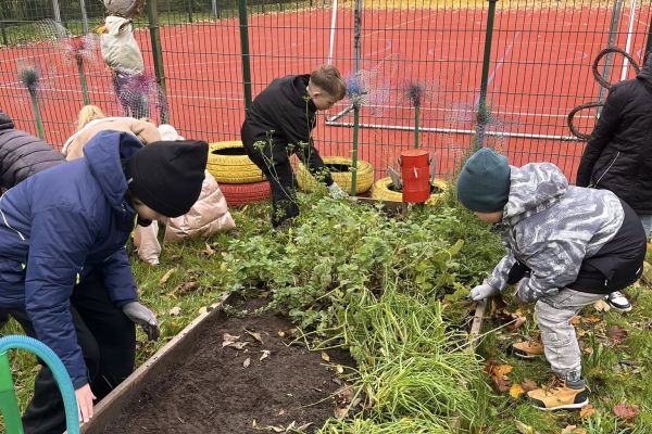 Kolorowy ogródek – natura i sztuka w jednym