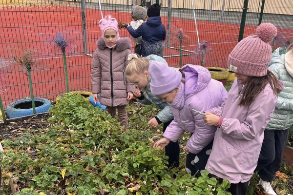 Kolorowy ogródek – natura i sztuka w jednym