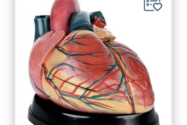 Nagrody już do nas lecą