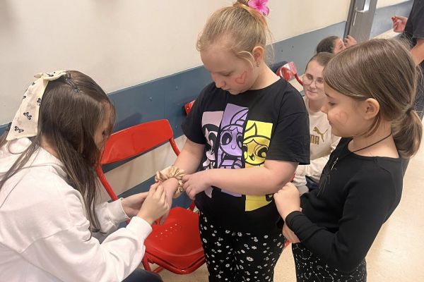 Szkolne działania WOŚP 