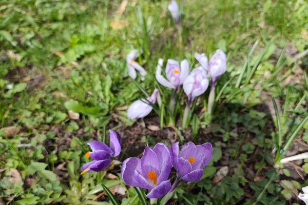 Wiosenny przemarsz w klasach młodszych