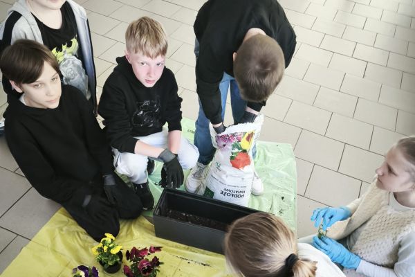Warsztaty Zielona Europa