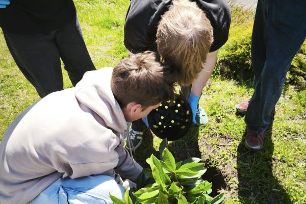 Akcja charytatywna Ogród Solidarności