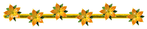 li4