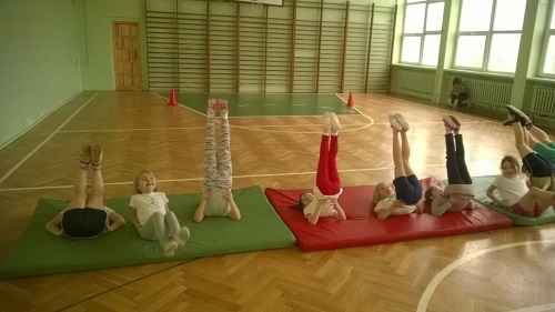 GIM007
